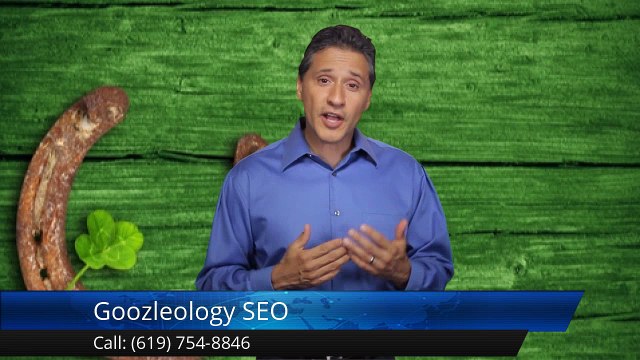 Goozleology SEO San Diego Impressive Five Star Review by Lori Baysinger