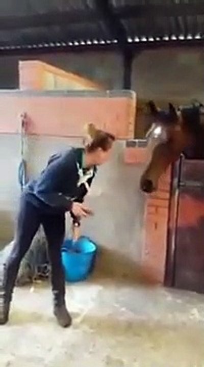 Djevojka je počela plesati uz popularnu numeru, a pogledajte šta njen konj radi…ostali smo u suzama