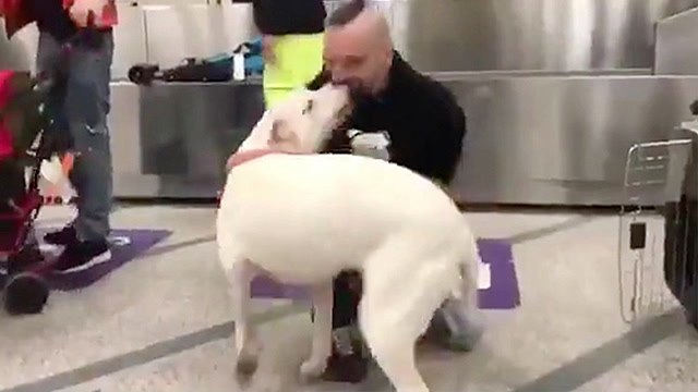 Man Finally Reunited With Dog After It Was Seized By Government