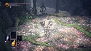 【DARK SOULS İ】生贄の道[魔術師ヴィンハイムのオーベック]の居場所 ダークソウル3