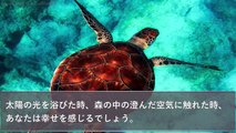 【心理テスト】好きな匂いでわかる前世占い 幸せになる方法が当たる深層心理【モルモル雑学】