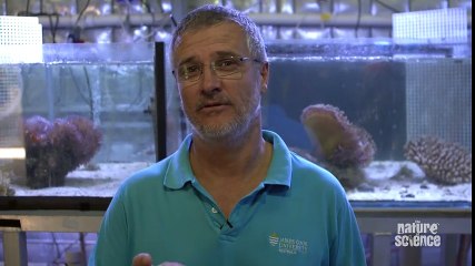 How killer cone snails kill