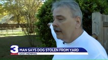 Man Accused of Stealing Dog Out of Yard in Broad Daylight