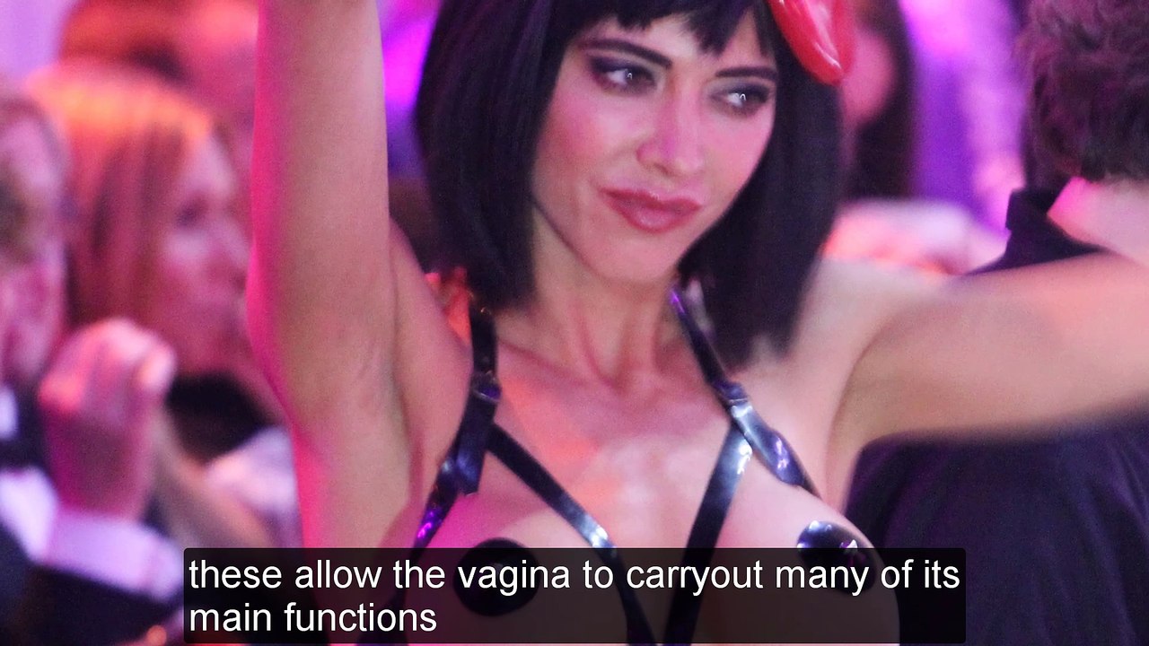 7 Interesting Facts About the Vagina 2017 2018
