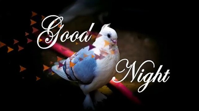 Good Night2018..Sweet Dreams...Wishes..Greetings..Whatsaap Video..Status...Message..Beautiful Quotes..