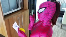 Pink Spidergirl & Spiderman In Love! Marriage proposal - Funny Superhero Movie in Real Life | Superheroes | Spiderman | Superman | Frozen Elsa | Joker