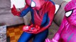 Spiderbaby & Friends! Spiderman & Pink Spidergirl in Real Life! Superhero Fun Party  -) | Superheroes | Spiderman | Superman | Frozen Elsa | Joker