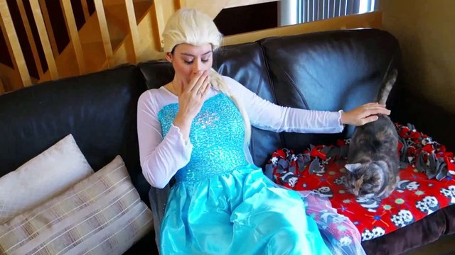 Spiderman & Frozen Elsa vs Clown! Surprise Gone Wrong! Funny Superheroes in Real Life -) | Superheroes | Spiderman | Superman | Frozen Elsa | Joker
