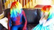 Spiderman & Frozen Elsa vs Jelly Bean Spell! w_ Anna Thor Hulk! Superhero Fun  -) | Superheroes | Spiderman | Superman | Frozen Elsa | Joker