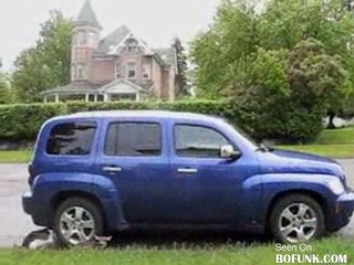 Mama Deer Kicks Dogs Butt