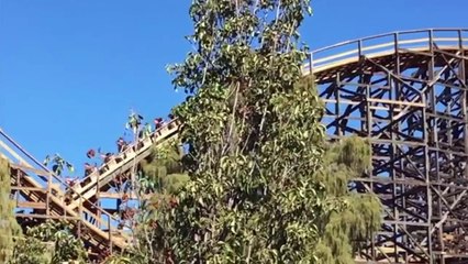 Top 15 Favorite Woodies