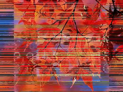 Bin Tere Kiya Hai Jeena JAWAD AHMED Pakistani Pop Music