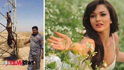 என் இதயம் நொறுங்குகிறது, இதை உடனே நிறுத்தணும்: வேதனையில் ஏமி ஜாக்சன்- வீடியோ