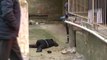 Temizlik İçin Cama Çıkan Kadın 4'üncü Kattan Düşerek Hayatını Kaybetti