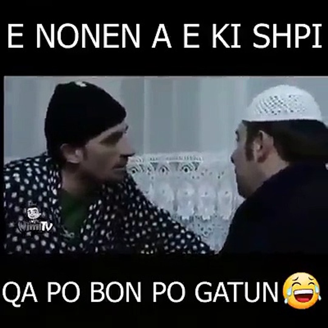 Humor shqip stupcat