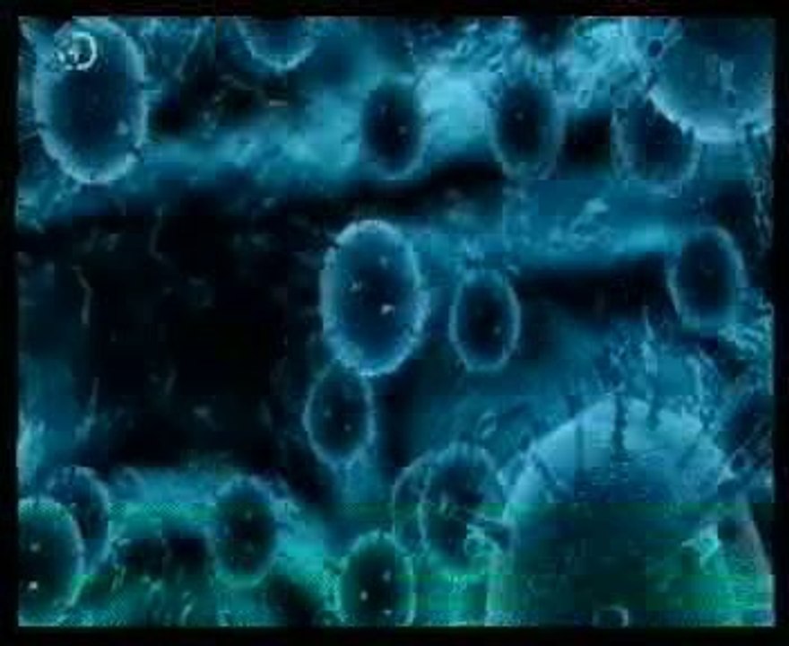 Cazadores de virus