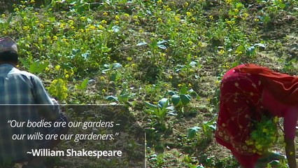 Cryptocurrency Platform for Nutrition