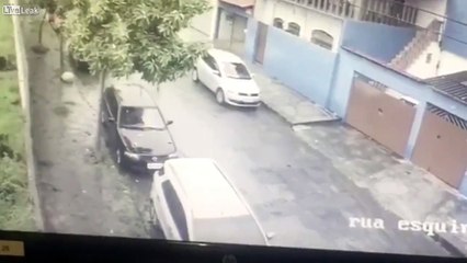 Carjacker successfully takes a car and then gets shot and killed by the owner