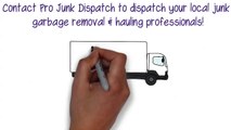 Professional Junk Removal and Hauling Services