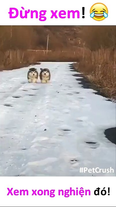 Wow !!!! Đáng yêu quá