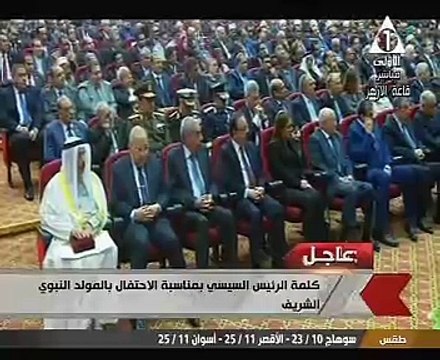 السيسى يكلف الجيش باستعادة الأمن ومواجهة الإرهاب فى سيناء خلال 3 أشهر