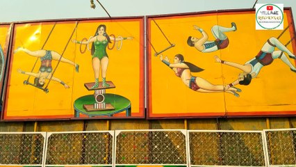 TOP 5 Most Circus Scene | Circus Videos