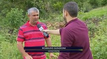 MORADOR ENCONTRA OSSO DE TIRANOSSAURO EM ESTRADA