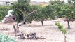 La sequía preocupa a los agricultores valencianos