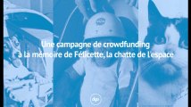 Une campagne de crowdfunding à la mémoire de Félicette, la chatte de l'espace