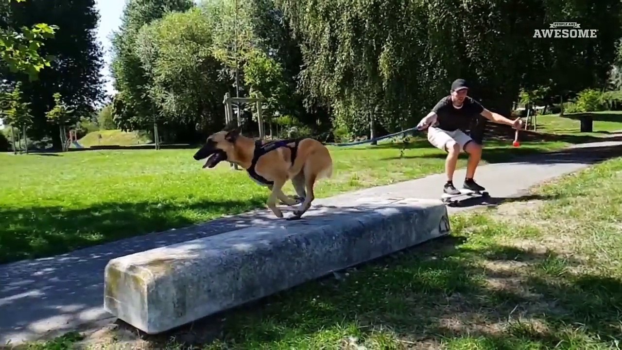 Best Videos of the Month people are awesome