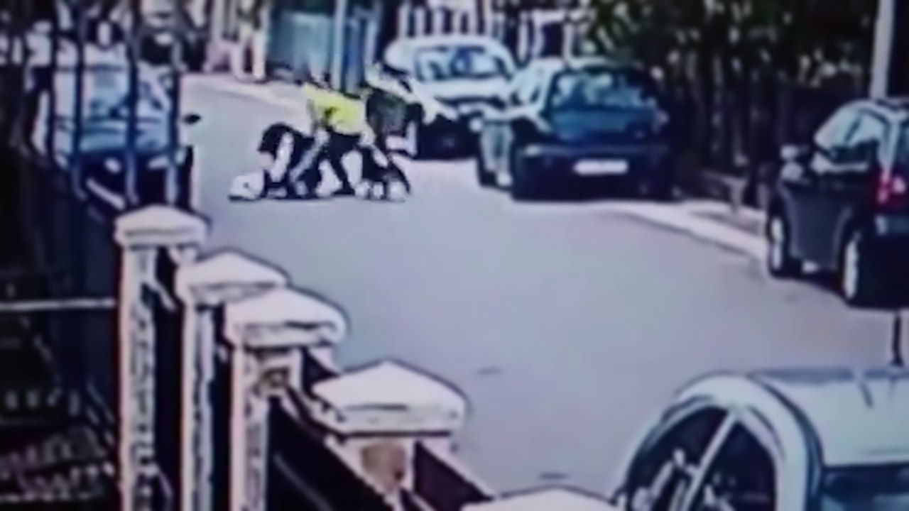 Un chien errant protège une femme lors d'un vol à l'arraché