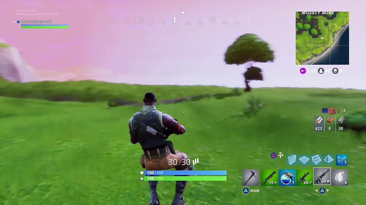 Fortnite_20171129125300