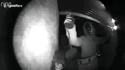 Thief in monkey mask trips over after attempt to steal BMW by holding bag up to door