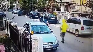 Stray dog saves woman from getting robbed