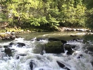 Saut du Doubs 2010 (3)