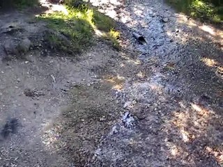 Source du Doubs 2010 (4)