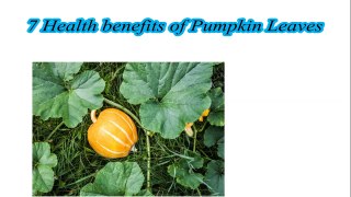 Health benefits of Pumpkin Leaves