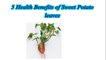 Health Benefits of Sweet Potato leaves