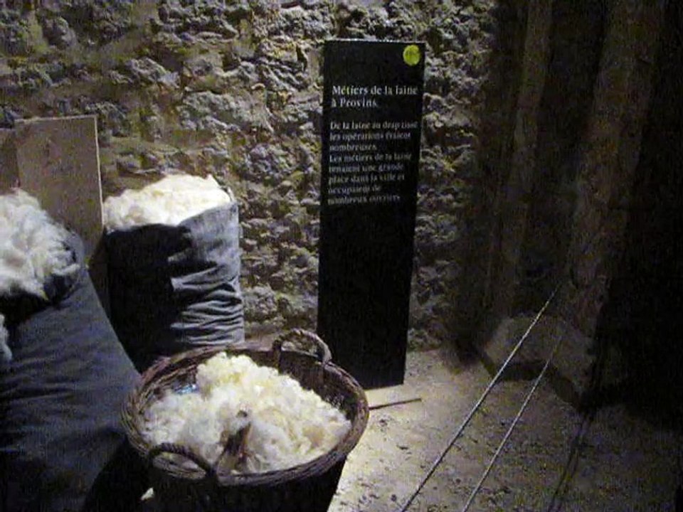 Provins-Sept 2011 (7)