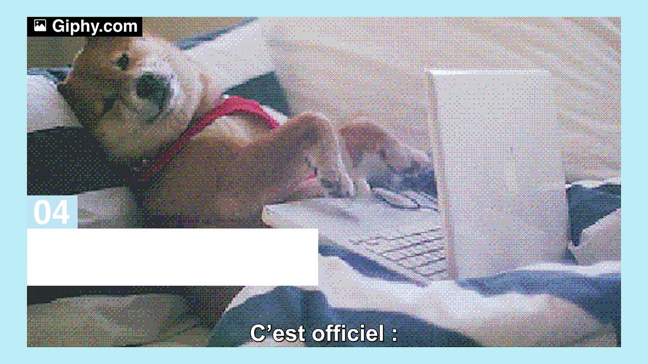 Social Club by Orange N°34