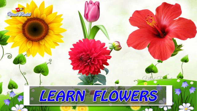 Flower names for Kids in english - Kids educational videos || Viral Rocket