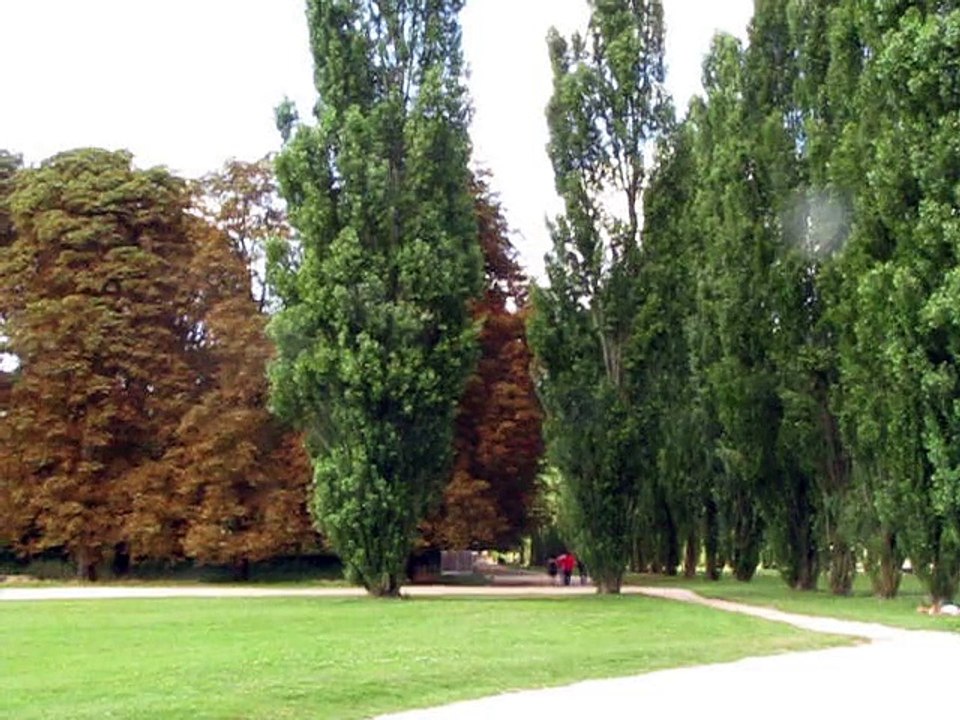 Parc de Sceaux 2017