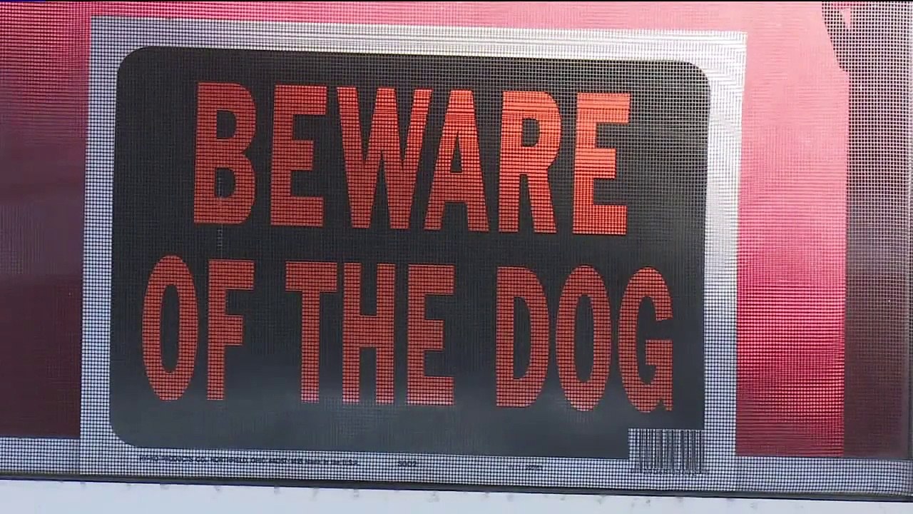 Cat Rescued After Surviving a Week With Head Stuck in Mayonnaise Jar