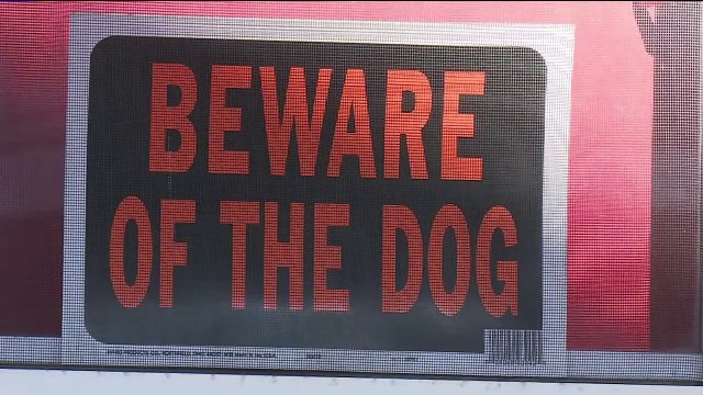 Cat Rescued After Surviving a Week With Head Stuck in Mayonnaise Jar