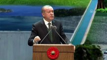 Cumhurbaşkanı Erdoğan: 