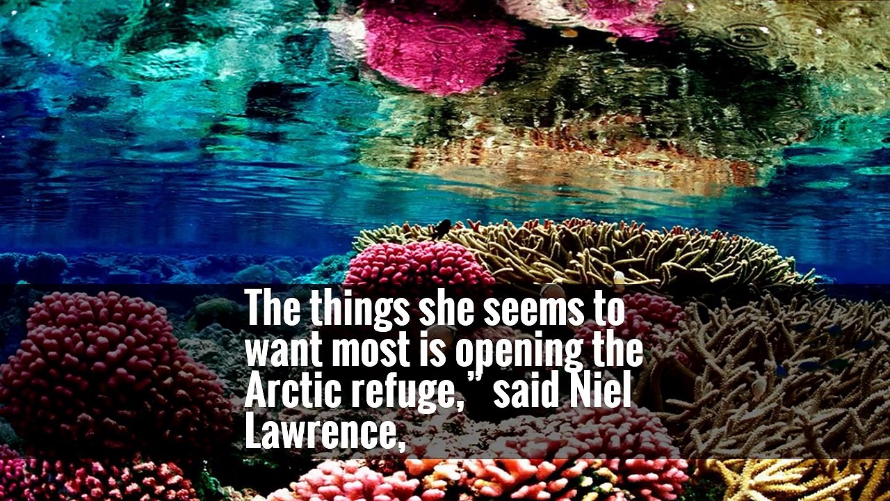 Conservationists Face Once-Remote Prospect in Arctic Drilling Fight: Defeat