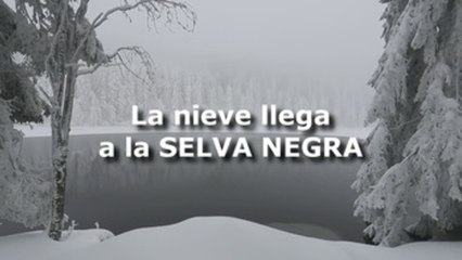 La Selva Negra alemana amanece nevada