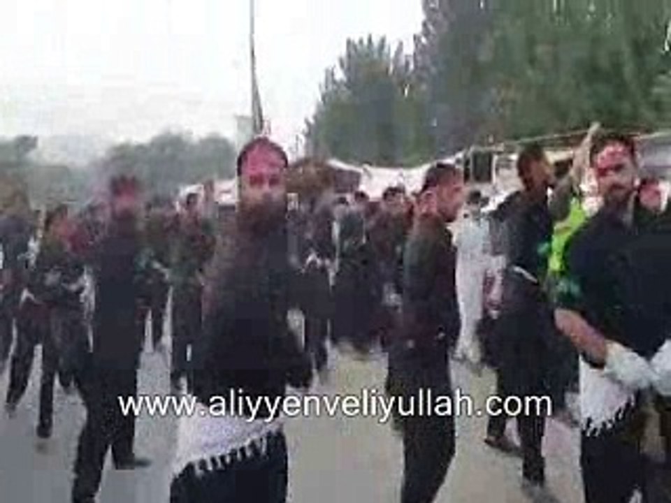 Pakistan Şiileri