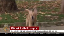 Köpek kalbi koruyor