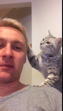 Le chat le plus affectueux du monde !! Il ronronne et caresse la joue de son maître !